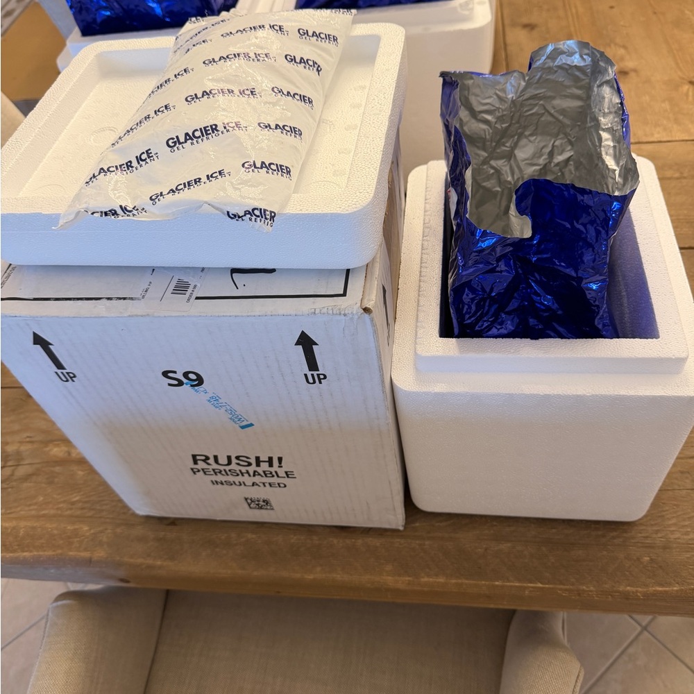 Insulated Styrofoam and Shipping Box & 3 Glacier Ice Packs for Meds, Travel,